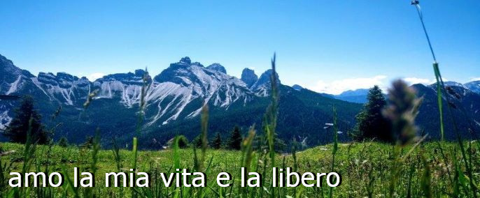 15. amo la mia vita e la libero - Amare  ci che si , per diventare ci che si vuole