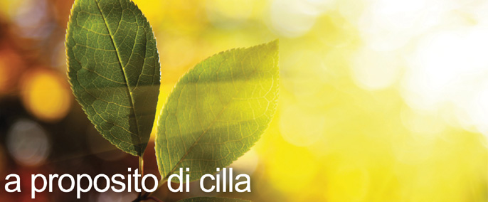 a proposito di cilla