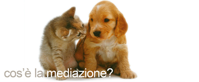 cos’ la mediazione?