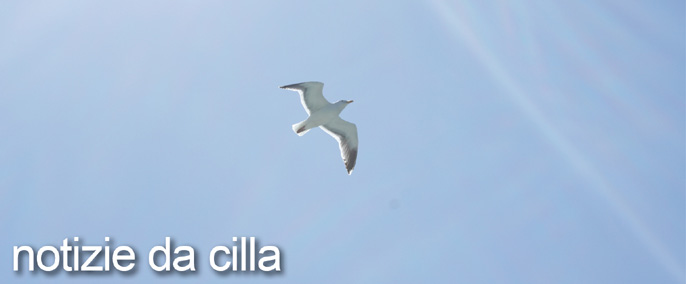 notizie da cilla